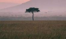 成功只青睐有准备的人