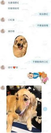 独自在家，不可靠
