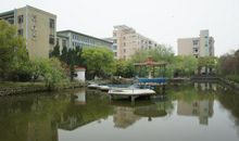 美丽的校园春景