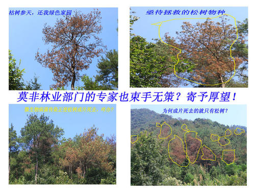 科技不能拯救绿色家园