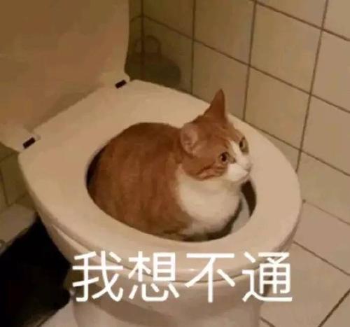 模仿白鹅写猫