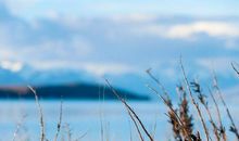 你就是我心中最美的风景