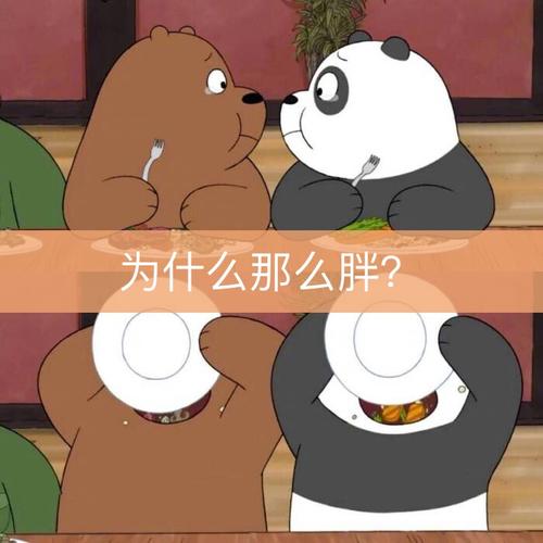 我真的不明白
