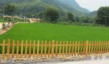 充满乐趣的乡村