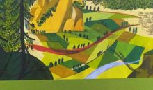 读《神奇的小草》有感