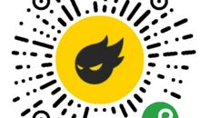 一只羽毛球的自述