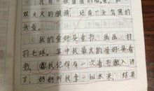 游记作文500字