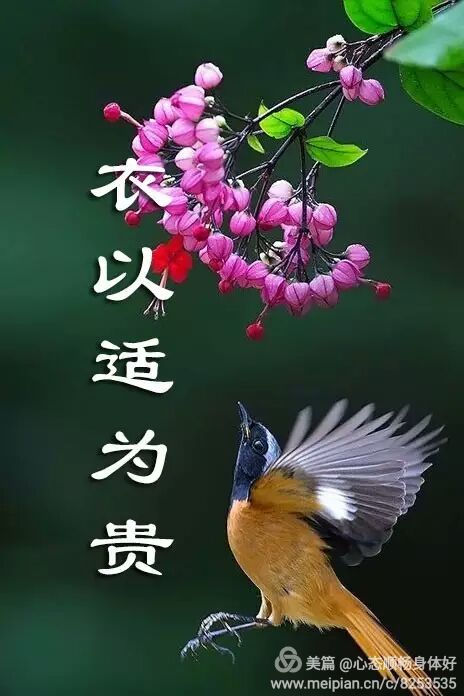 温暖的举动