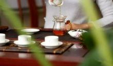 泡茶和品茶