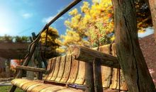 我家院子的秋天