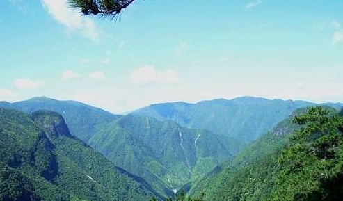 游龙泉山