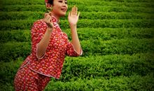 我和妈妈学采茶