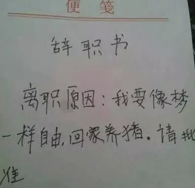 我想看到这么大的世界