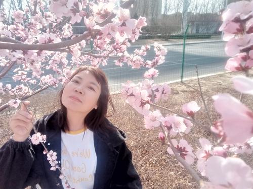 春天的花朵盛开