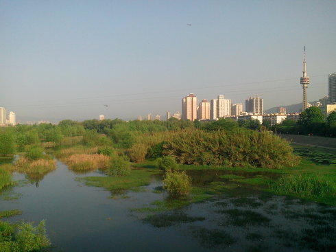 饭后场景