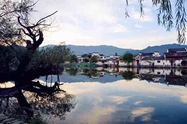 环顾四周