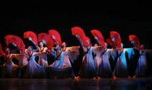 让所有的生命一起舞动