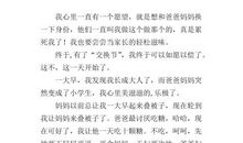 我想设立一个节日作文