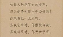 《悟空传》观后感