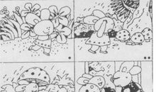 小兔种菜看图写话