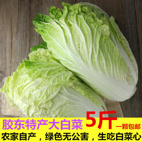 白菜和大白菜的故事