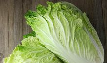 卷心菜和大白菜的故事