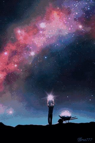 她的理想