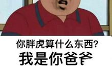 《我是你爸爸》读后感