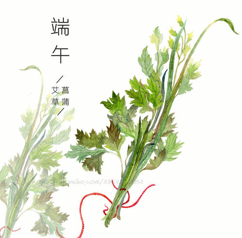 端午节前的启示