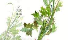 端午节前的启示