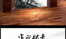 我想成为一棵青松