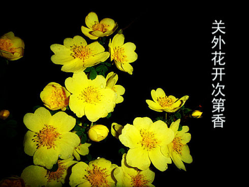 生活应该有苦难