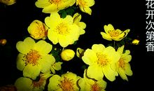 人生本应有磨难