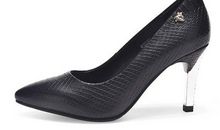 穿上黑皮鞋的蜻蜓