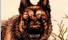 《西顿动物系列》读后有感