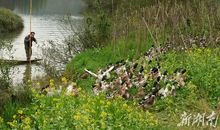 学习撑起一片长篙