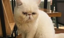 不要让生命卑微无助