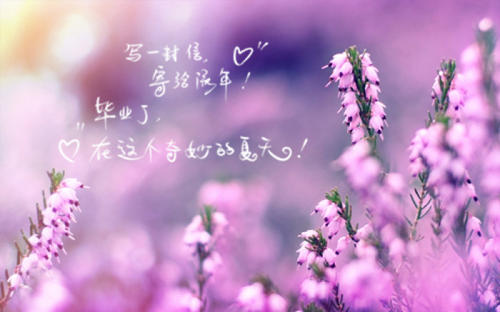 关于阳光之美