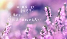 关于阳光的美好