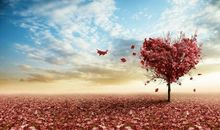 你是时光留下的温柔