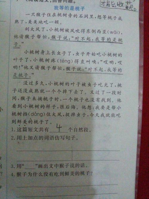 一只猴子接一个模仿一个句子