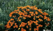 让我终身受益的启示——宽容