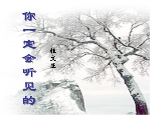 阅读《你会听到》后的感想
