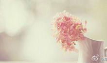 顽强的花草我为你点赞