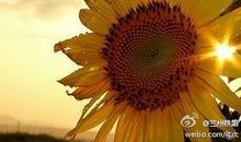 快乐的日子将会来临