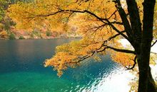 我对生命的感悟