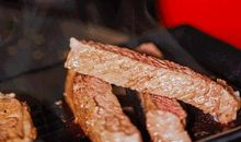 世界上最美妙的声音