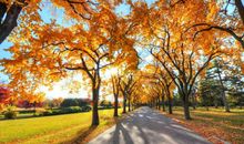 听听，秋天来了