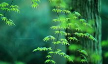 春意浓浓陶然亭