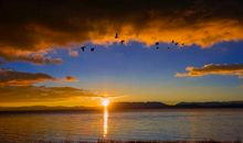 魂萦梦牵是苏州